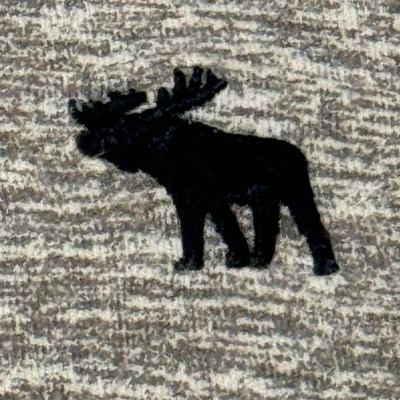 Abercrombie Kids T-Shirt Hoodie | Size 13/14 - Picture 8 of 13